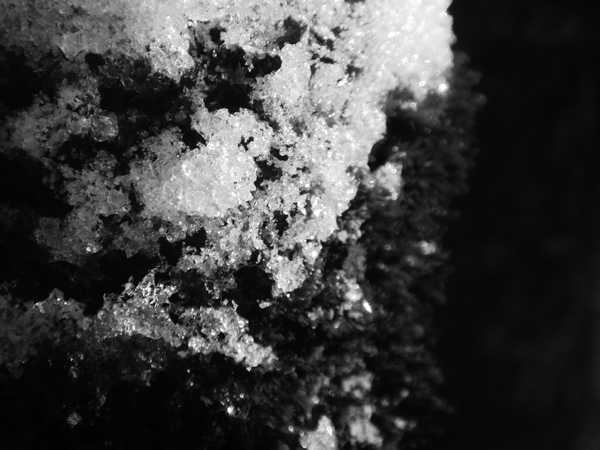 Schnee auf Moos